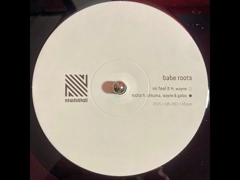 Babe Roots ft. Wayne - "Mi Feel It"