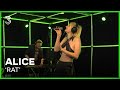 Alice live met 'Rat' | 3FM Live Box | NPO 3FM