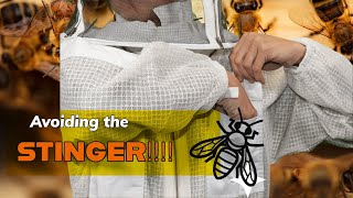 What's Better For a New Beekeeper...Full Suit Or A Jacket?