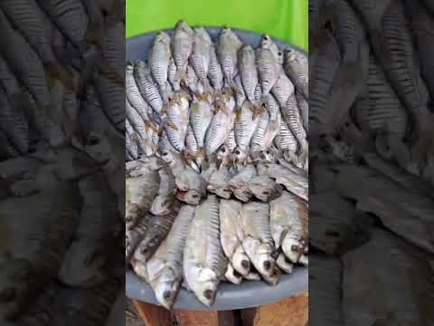 ATENCIÓN 🎥 SAN ANTONIO SUCRE CDLA  RECORDARLES A NUESTROS PAISANOS.