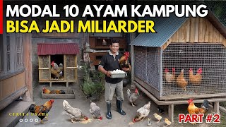 Download lagu MODAL 10 AYAM KAMPUNG BISA JADI MILIARDER DI KAMPUNG SENDIRI | CERITA USAHA mp3
