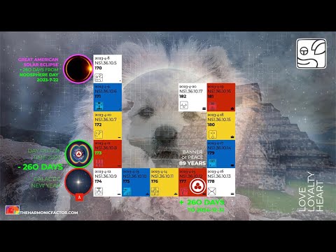 WAVESPELL OF THE WHITE DOD 🌀🐶