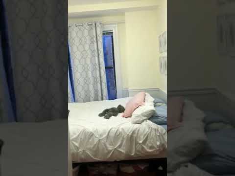 31 Massachusetts Ave. Apt  4-2, Boston, MA