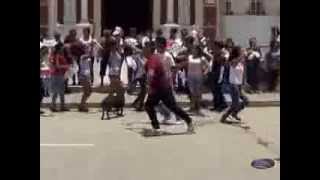 preview picture of video 'FLash Mob Alma Peruana - Ferreñafe - Celebrando EL Dia Nacional De La Marinera'