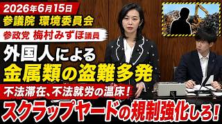 【不法就労の温床】※絶対見てください！#参政党 #梅村みずほ  外国人による金属類の盗難多発！スクラップヤードの規制強化しろ！#政治ニュース #国会 #高市内閣 #外国人政策