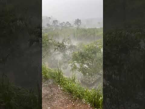 GRANIZO EM  SANTA CATARINA LAURENTINO E AGROLANDIA