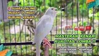 Download lagu Kenari GACOR NGEREK‼️ Masteran Kenari PAUD dan Pancingan Kenari MACET BUNYI dan Betina NGIWIR - 327 mp3 Download lagu Kenari GACOR NGEREK‼️ Masteran Kenari PAUD dan Pancingan Kenari MACET BUNYI dan Betina NGIWIR - 327 mp3