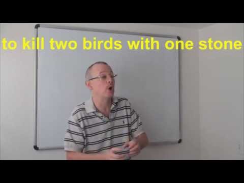 Learn English: Daily Easy English Expression 0593: to kill two birds with one stone