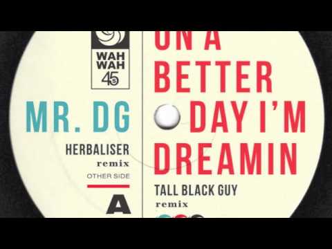 Colman Brothers - Mr DG (The Herbaliser Remix)