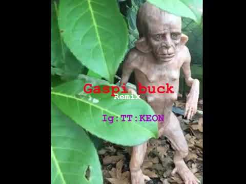 Gaspi buck (zesser remix)