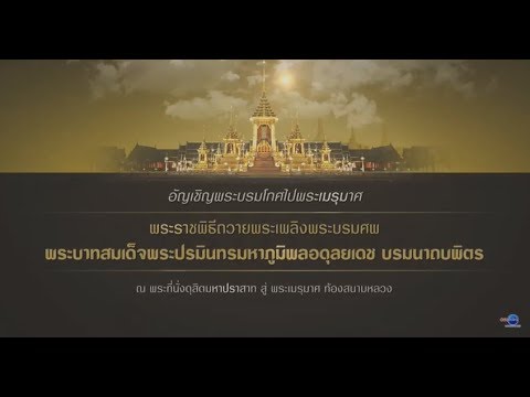 เรดอนและความแข็งแรง ความอ่อนแอในผู้ชายหลั่งเร็ว