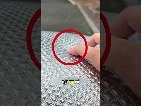 Vì sao phải kiểm tra yên xe trước khi ngồi |Chỉ Một Giây #chimotgiay #kienthucmoingay