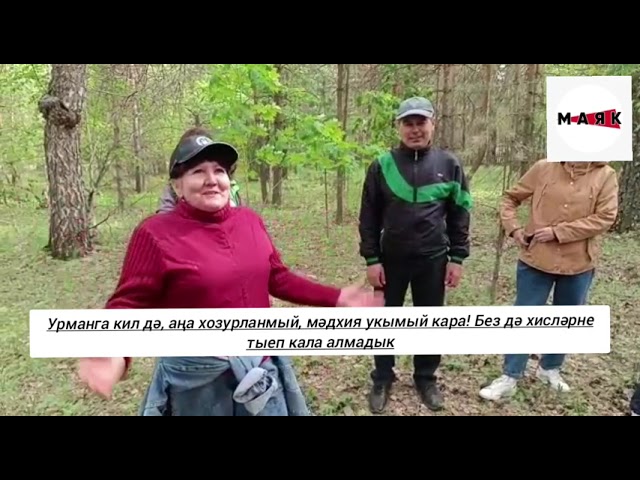 Азнакайның “Парус” базасында җәй хозуры