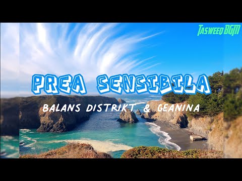 Prea Sensibilă | Distrikt x Geanina | Lyrical Video