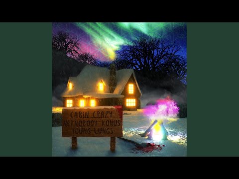 Cabin Crazy