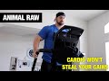 Animal Raw | Cardio Won't Steal Your Gains