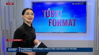 Алматыда элиталық үй мен пәтер иелері бюджетке 247 млн теңге қарыз