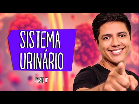 URINARY OR EXCRETORY SYSTEM - ANATOMY AND PHYSIOLOGY - Prof. Kennedy Ramos