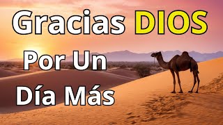 La Oración del Día que Revoluciona Tu Vida. Gratitud y Reflexión