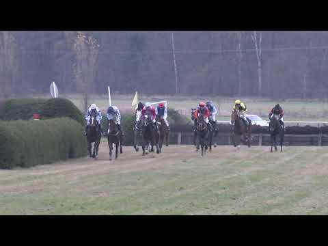 7. dostih - Cena JC a přátel dostihového závodiště Kolesa - dostihy Kolesa 7. 11. 2021