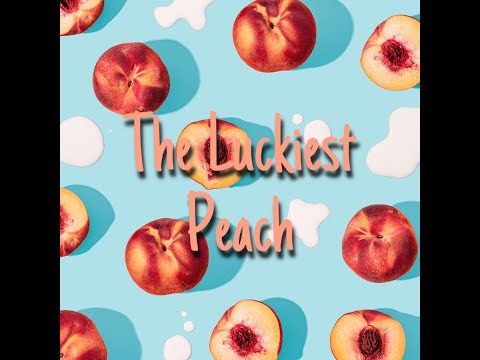 The Luckiest Peach #10: Wet Hot American Summer (2001) | COTM *