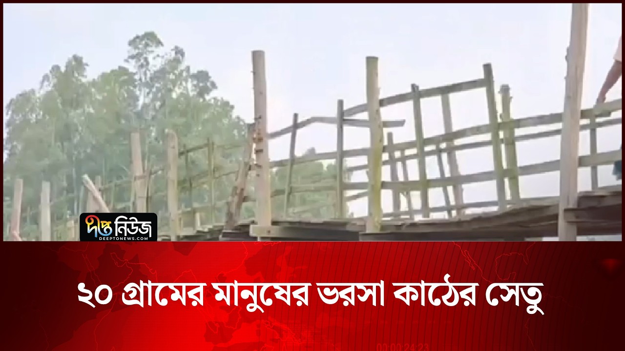 নরসিংদীতে ২০ গ্রামের মানুষের ভরসা কাঠের সেতু | Narsingdi | Deepto News