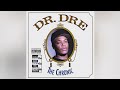 The Chronic (Intro)