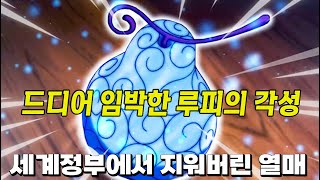 루피의 각성과 세계정부에서 지워버린 악마의열매