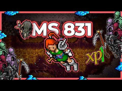 MS 831 Hunt Solo Brain Grouds 8.8kk/h Raw + 1.2kk Profit - Tibia Hunt [13.21] #tibia #tibiahunt