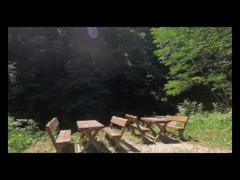 Path from DN7 to Lotrisor Waterfall - 30 June 2024 - @Wandering_sPots