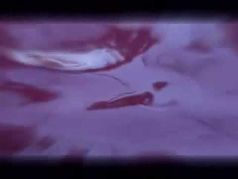 John Frusciante - After The Ending video by hdche