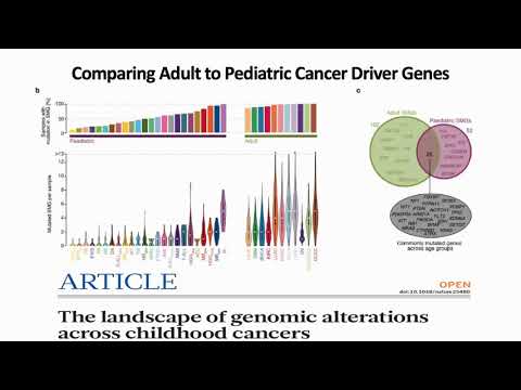 Computational Analysis in Pediatric Cancer Precision Medicine - Elaine Mardis - Keynote - ISMB 2020