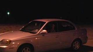 Butthole Surfers - Whatever (I had a dream...)