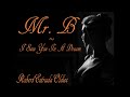 Mr.  B ~ I Saw You In A Dream
