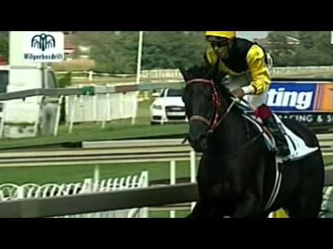 WILGERBOSDRIFT GAUTENG FILLIES GUINEAS (GRADE 2) 2013