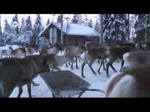Wintervergnügen in Lappland | Euromaxx