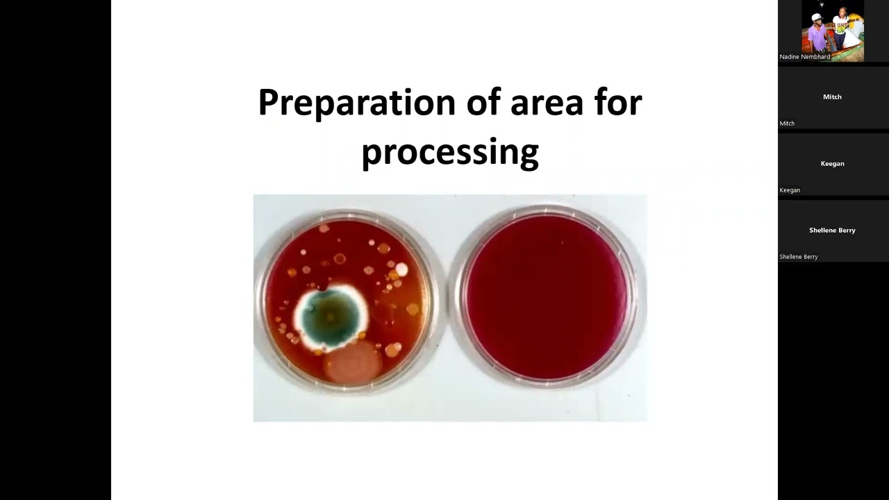 CNFO Seafood Value Chain - Module 2 Processing and Value Addition