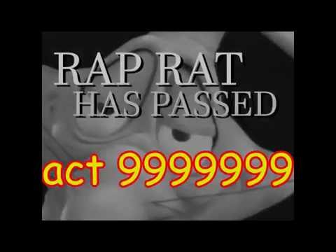 rap rat and the rap raar have a grand old time pirating disney videotapes or some shit