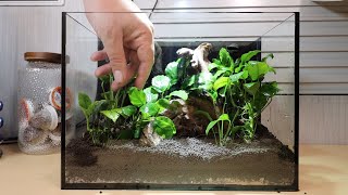 Simple Betta Tank : Office Aquarium