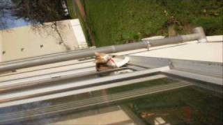 loin des yeux ...........           .wmv