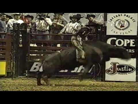 Nine-O bucks Corey Navarre - 00 PBR St. Louis