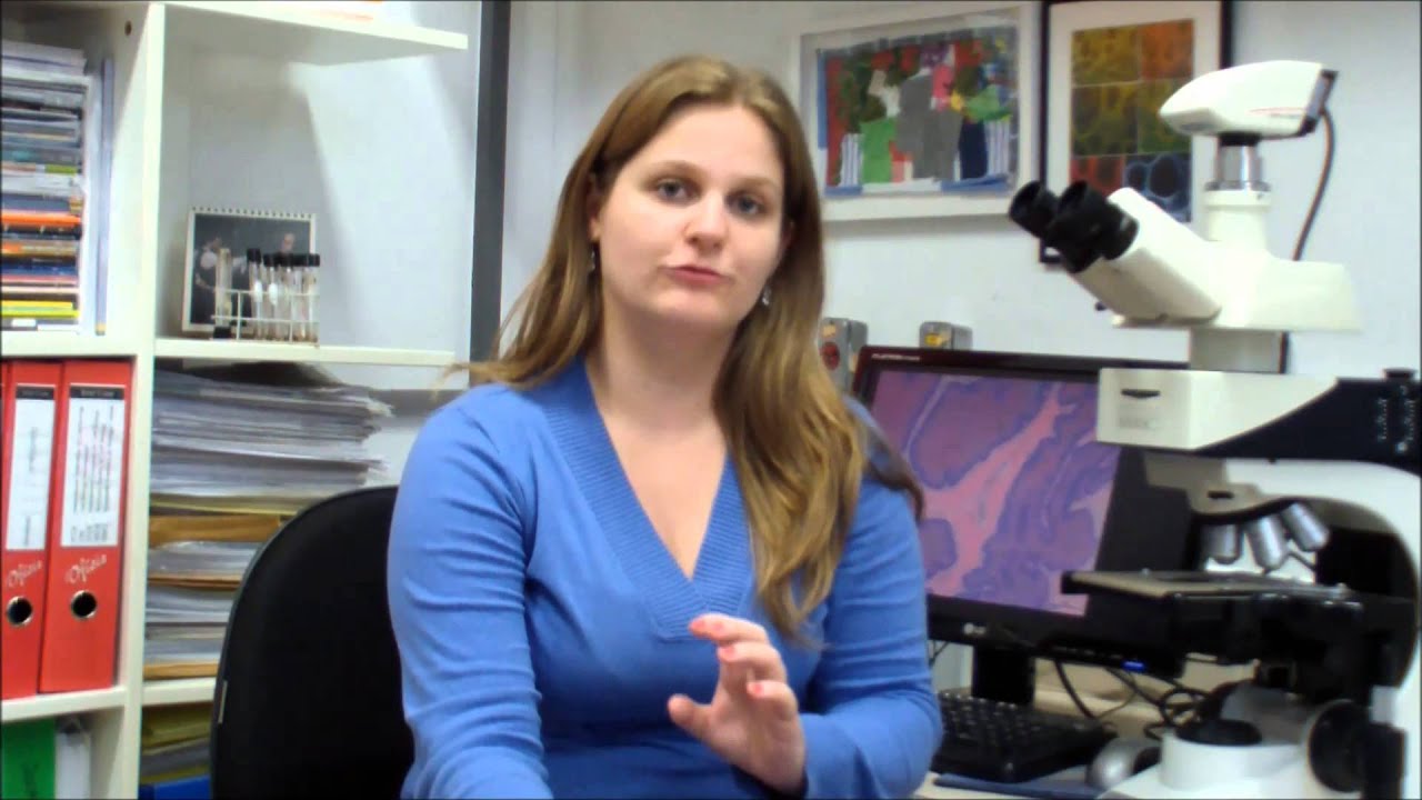 Transcrição, regulação de expressão gênica e Epigenética.