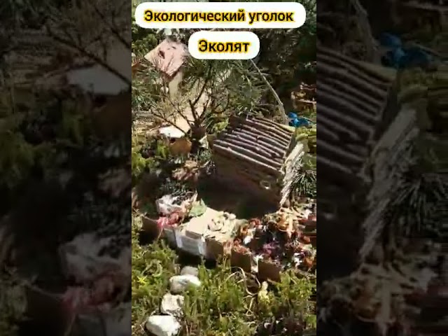 Эколята-дошколята защитники природы.