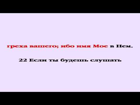 Видеобиблия. Исход. Глава 23