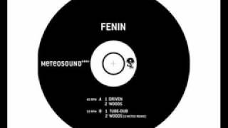 Fenin - Driven