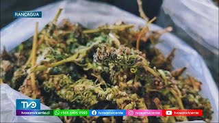 Detenido clan familiar que se dedicaba a la venta de drogas en San Fernando y Rancagua