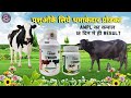 AWPL VETDOC RESULT Awpl Sanjeevkumar Mlm Awplresults Veterinary Veterinaria Result Ayurveda