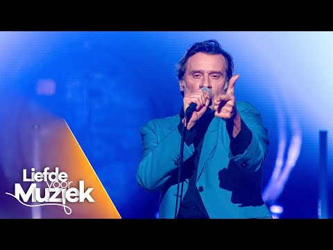 Video thumbnail for Little Pigs (uit Liefde Voor Muziek)