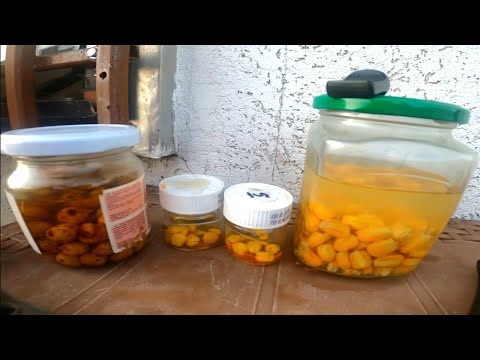 PECANJE SARANA I DEVERIKE NA SAVI