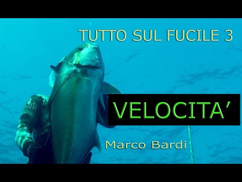 Pesca sub Velocità del tiro